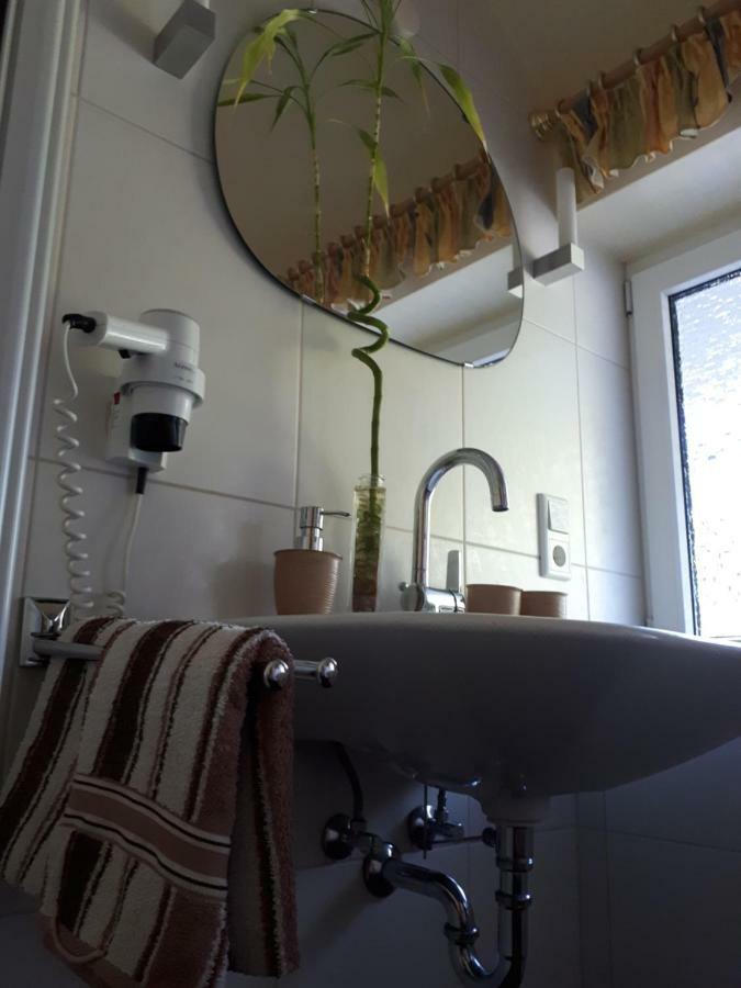 Apartmenthaus Sonnenschein Winterberg Ngoại thất bức ảnh